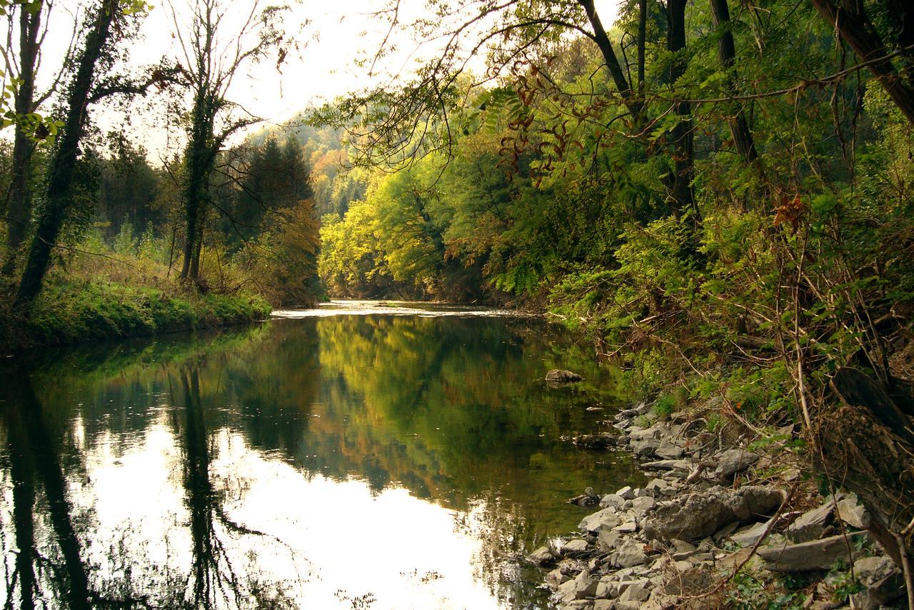 Gasthof Dangl Wimpassing an der Pielach Екстер'єр фото